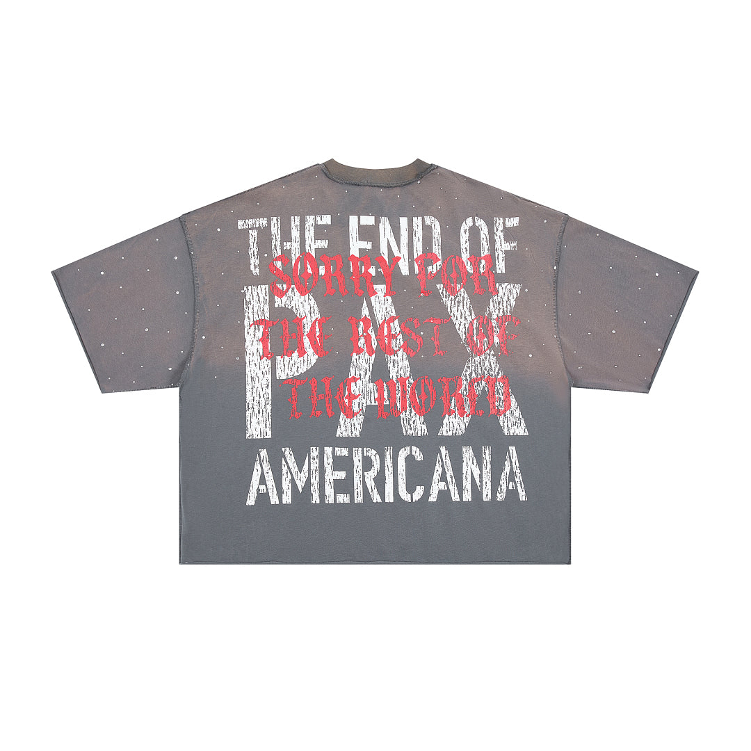 Rare Peace The Beginning of the End Oversized Graphic Tee — Washed Grey