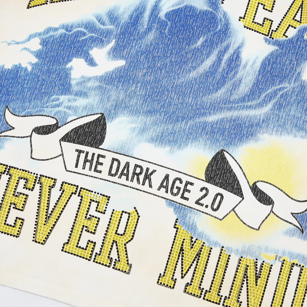 Rare Peace SOS The End Of An Era Crop Tee — White